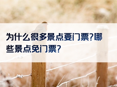 为什么很多景点要门票？哪些景点免门票？
