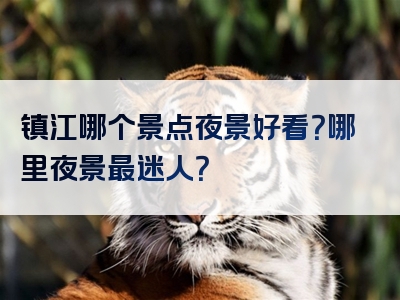 镇江哪个景点夜景好看？哪里夜景最迷人？