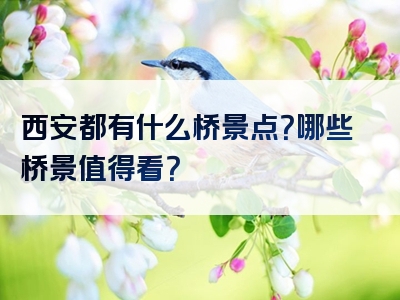 西安都有什么桥景点？哪些桥景值得看？