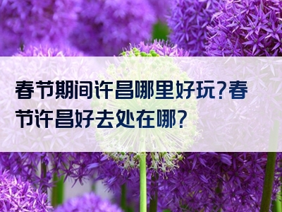 春节期间许昌哪里好玩？春节许昌好去处在哪？