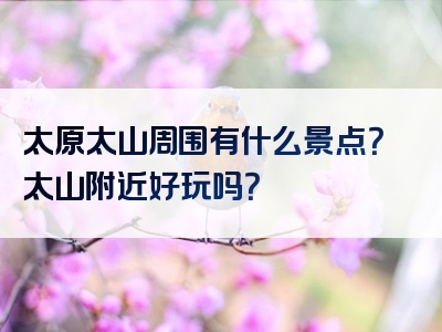 太原太山周围有什么景点？太山附近好玩吗？