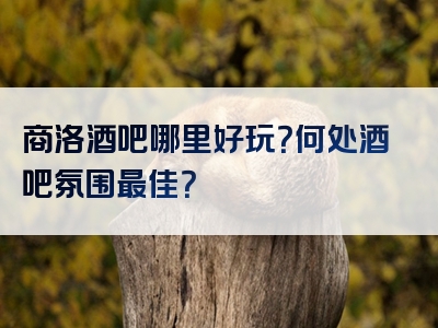 商洛酒吧哪里好玩？何处酒吧氛围最佳？