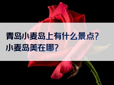 青岛小麦岛上有什么景点？小麦岛美在哪？