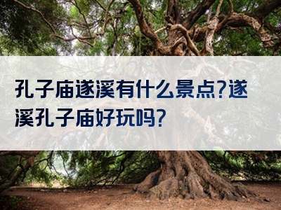 孔子庙遂溪有什么景点？遂溪孔子庙好玩吗？