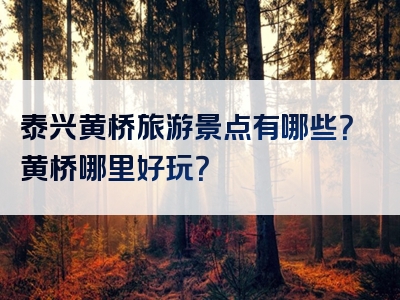 泰兴黄桥旅游景点有哪些？黄桥哪里好玩？