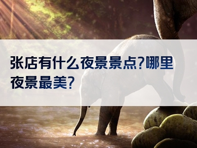 张店有什么夜景景点？哪里夜景最美？