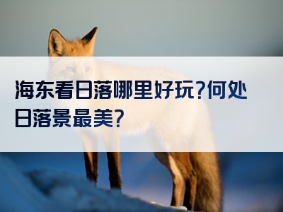 海东看日落哪里好玩？何处日落景最美？