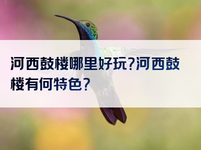 河西鼓楼哪里好玩？河西鼓楼有何特色？