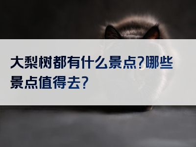 大梨树都有什么景点？哪些景点值得去？