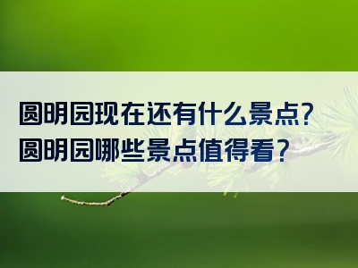 圆明园现在还有什么景点？圆明园哪些景点值得看？