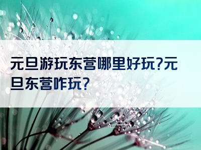 元旦游玩东营哪里好玩？元旦东营咋玩？