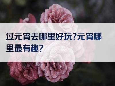 过元宵去哪里好玩？元宵哪里最有趣？