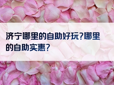 济宁哪里的自助好玩？哪里的自助实惠？