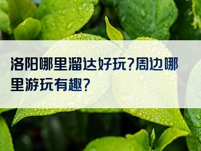 洛阳哪里溜达好玩？周边哪里游玩有趣？