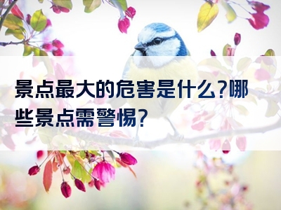 景点最大的危害是什么？哪些景点需警惕？