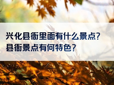 兴化县衙里面有什么景点？县衙景点有何特色？