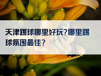 天津踢球哪里好玩？哪里踢球氛围最佳？