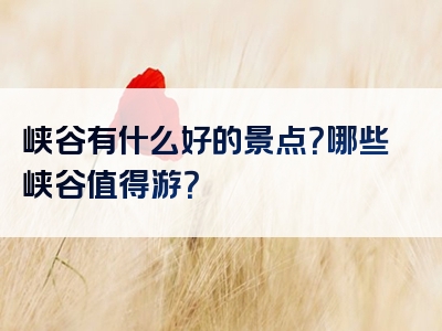 峡谷有什么好的景点？哪些峡谷值得游？