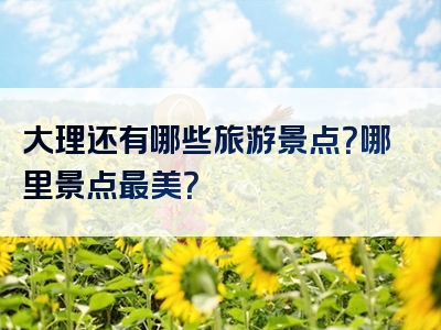 大理还有哪些旅游景点？哪里景点最美？