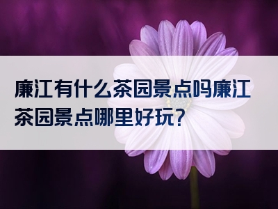 廉江有什么茶园景点吗廉江茶园景点哪里好玩？
