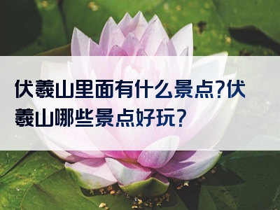 伏羲山里面有什么景点？伏羲山哪些景点好玩？