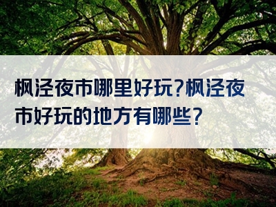 枫泾夜市哪里好玩？枫泾夜市好玩的地方有哪些？