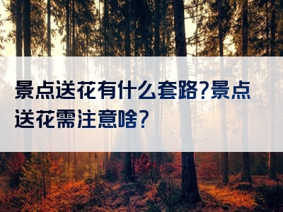 景点送花有什么套路？景点送花需注意啥？