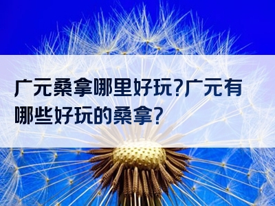 广元桑拿哪里好玩？广元有哪些好玩的桑拿？