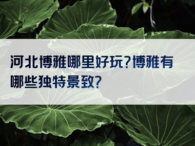 河北博雅哪里好玩？博雅有哪些独特景致？