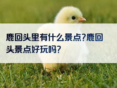 鹿回头里有什么景点？鹿回头景点好玩吗？