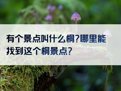 有个景点叫什么桐？哪里能找到这个桐景点？