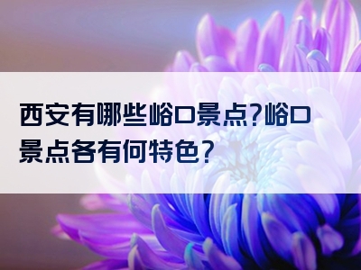 西安有哪些峪口景点？峪口景点各有何特色？