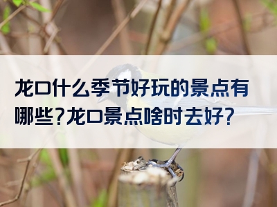 龙口什么季节好玩的景点有哪些？龙口景点啥时去好？
