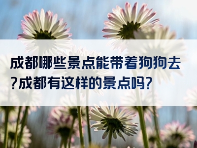成都哪些景点能带着狗狗去？成都有这样的景点吗？