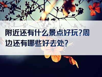 附近还有什么景点好玩？周边还有哪些好去处？