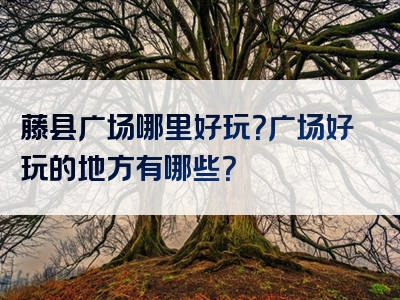 藤县广场哪里好玩？广场好玩的地方有哪些？
