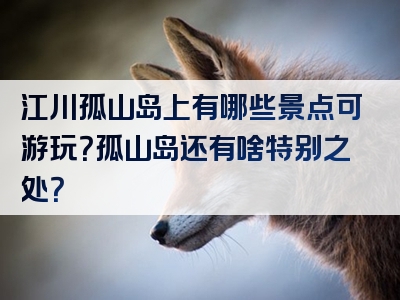 江川孤山岛上有哪些景点可游玩？孤山岛还有啥特别之处？