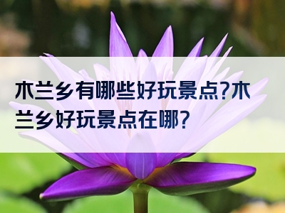 木兰乡有哪些好玩景点？木兰乡好玩景点在哪？