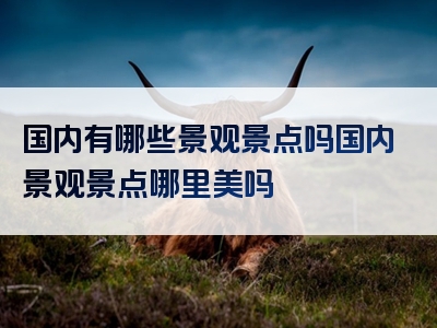 国内有哪些景观景点吗国内景观景点哪里美吗