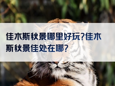 佳木斯秋景哪里好玩？佳木斯秋景佳处在哪？