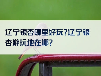 辽宁银杏哪里好玩？辽宁银杏游玩地在哪？
