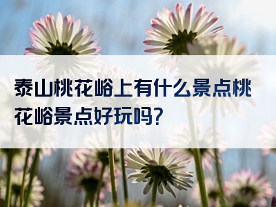 泰山桃花峪上有什么景点桃花峪景点好玩吗？