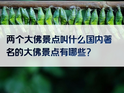 两个大佛景点叫什么国内著名的大佛景点有哪些？