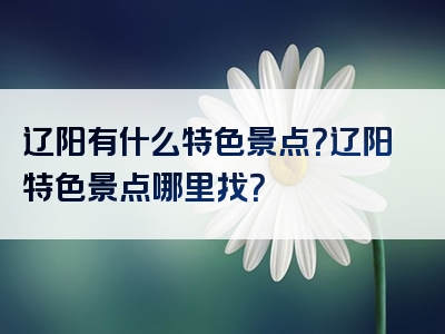 辽阳有什么特色景点？辽阳特色景点哪里找？