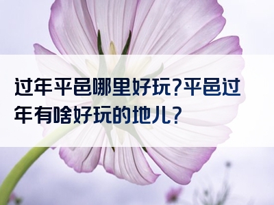 过年平邑哪里好玩？平邑过年有啥好玩的地儿？