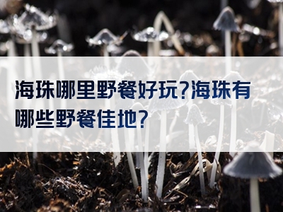 海珠哪里野餐好玩？海珠有哪些野餐佳地？