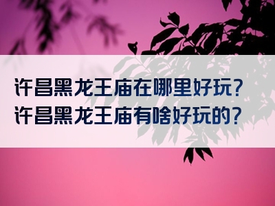 许昌黑龙王庙在哪里好玩？许昌黑龙王庙有啥好玩的？
