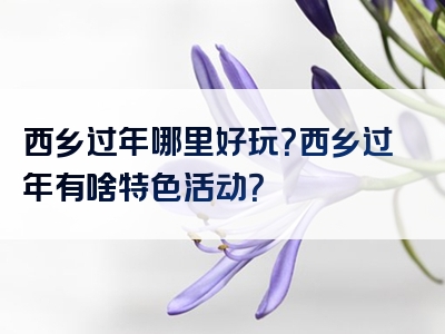 西乡过年哪里好玩？西乡过年有啥特色活动？