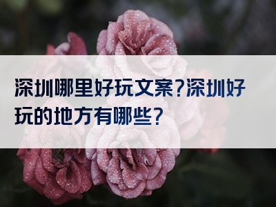深圳哪里好玩文案？深圳好玩的地方有哪些？