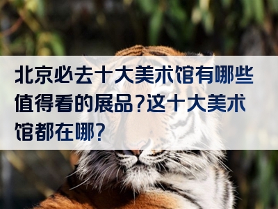 北京必去十大美术馆有哪些值得看的展品？这十大美术馆都在哪？